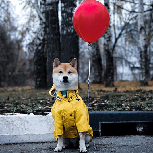 Waterproof Reflective Raincoat for Dogs