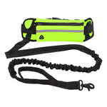 Hands-Free Bungee Leash with Running Belt for Dogs Negro