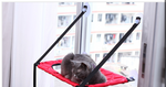 Window Hammock Perch for Cats Rojo