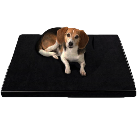 Orthopedic Memory Foam Bed for Large and Senior Dogs