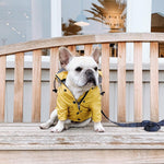 Waterproof Reflective Raincoat for Dogs detalle