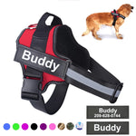 No-Pull Padded Dog Harness