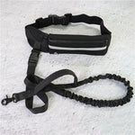 Hands-Free Bungee Leash with Running Belt for Dogs
