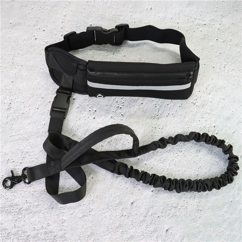 Hands-Free Bungee Leash with Running Belt for Dogs