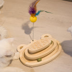 Interactive Maze Ball Scratcher Toy for Cats Menta