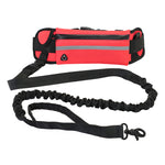 Hands-Free Bungee Leash with Running Belt for Dogs Verde